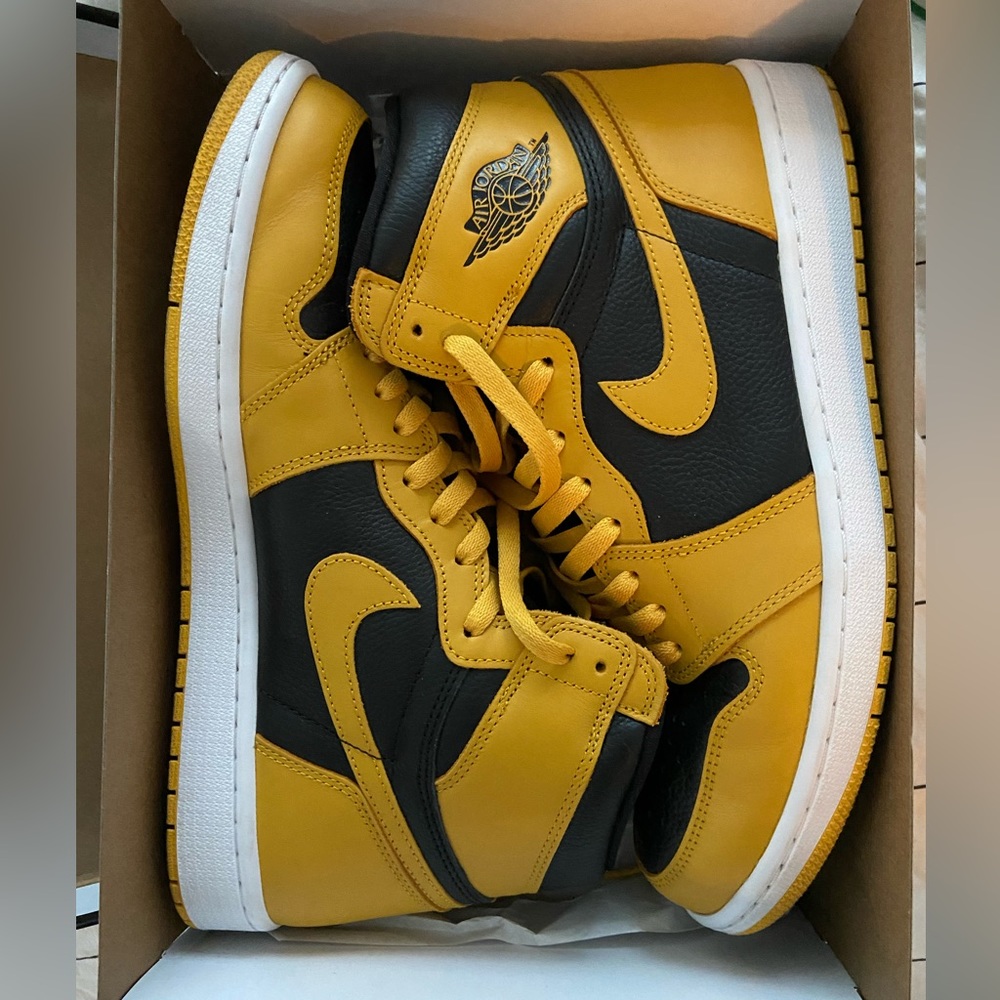 Jordan 1 pollen